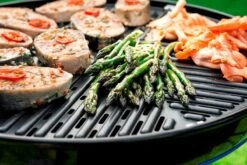 Cadac Carri Chef 2 BBQ Grid Plate 50 -Camping Discounter Carri Chef 2 Citi Chef BBQ grid